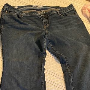 Torrid jeans